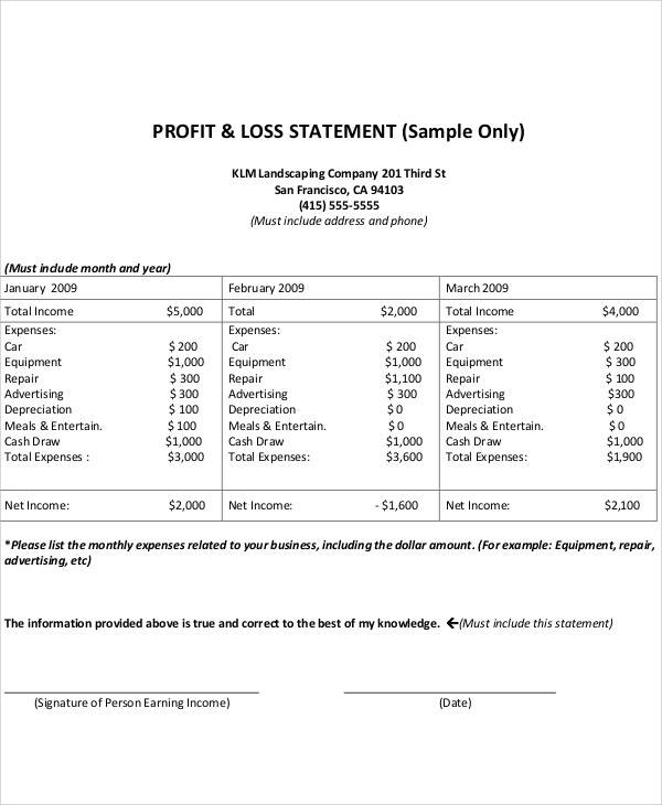 profit and loss statement form sample