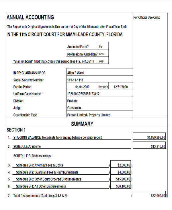 sample annual accounting form