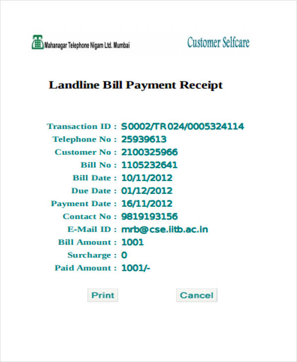 printable receipt sample of Formats 24 Receipt  Word, PDF  Payment