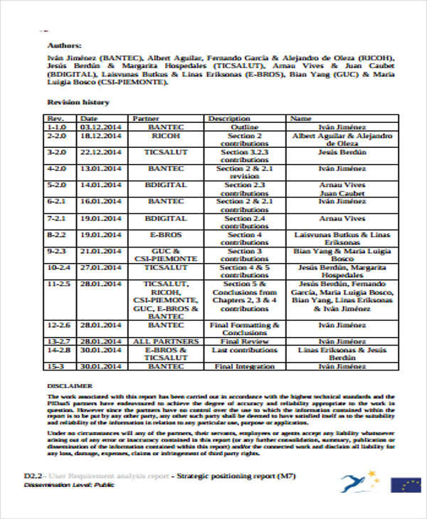 strategic analysis report example1