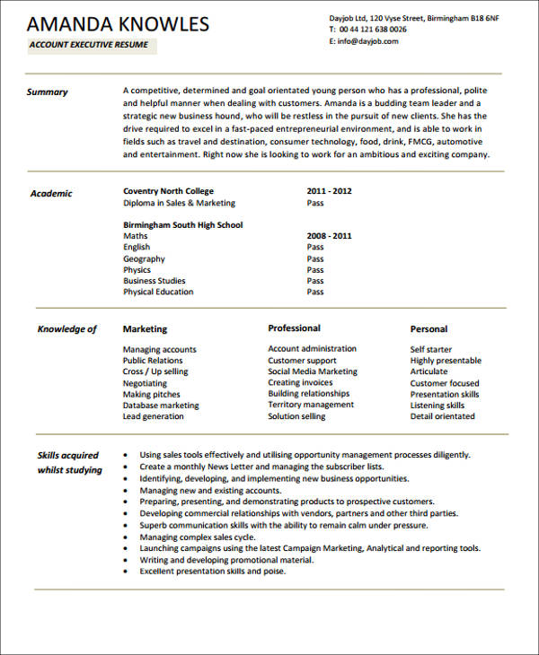 accounts executive resume format