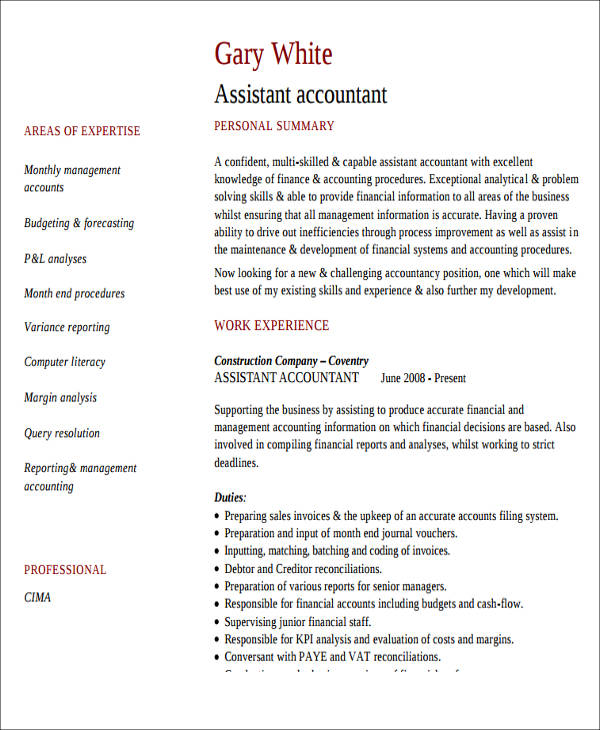 28  accountant resume format