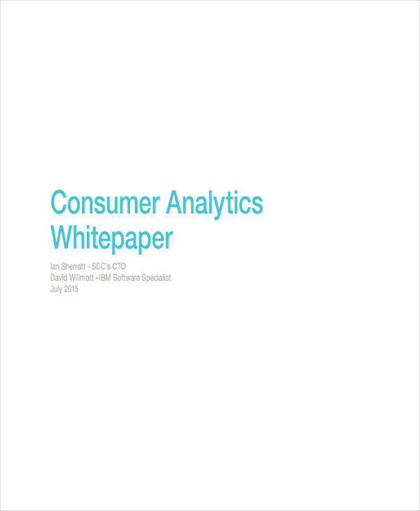 business analytics white paper2