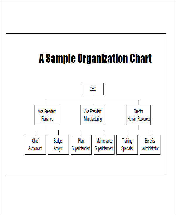 company management chart1