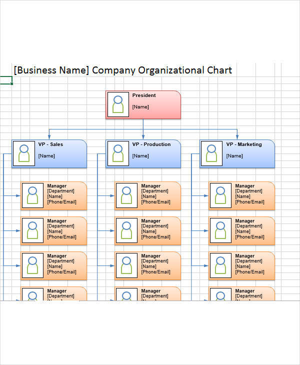 company organization chart2
