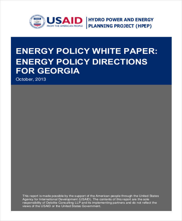 energy policy white paper1