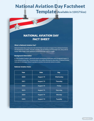 free national aviation day factsheet template