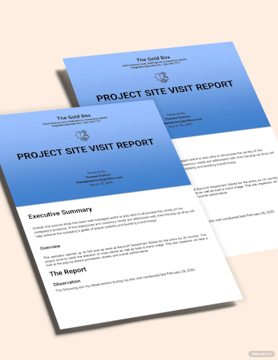 free project site visit report template