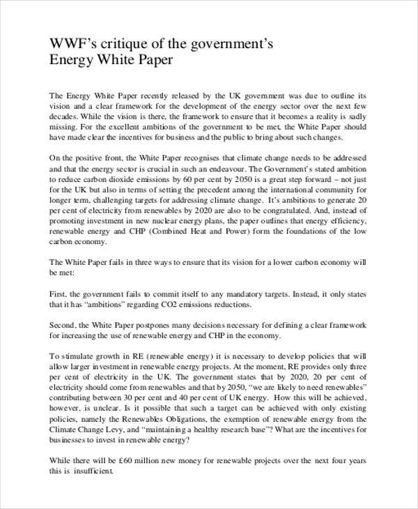 government energy white paper