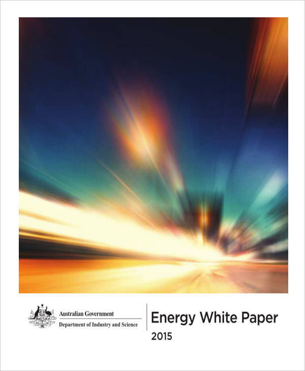 government energy white paper1