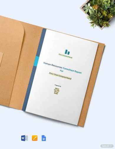 hr consultant report template