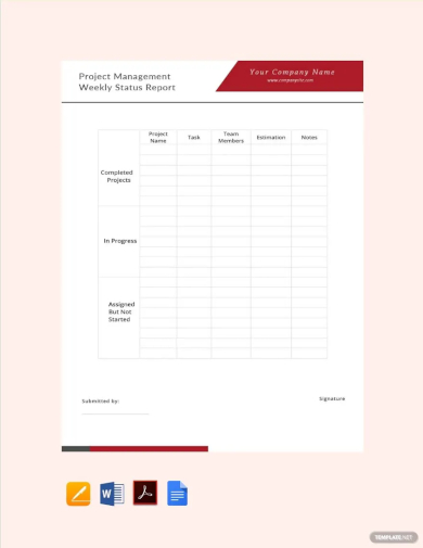 project management weekly status report template