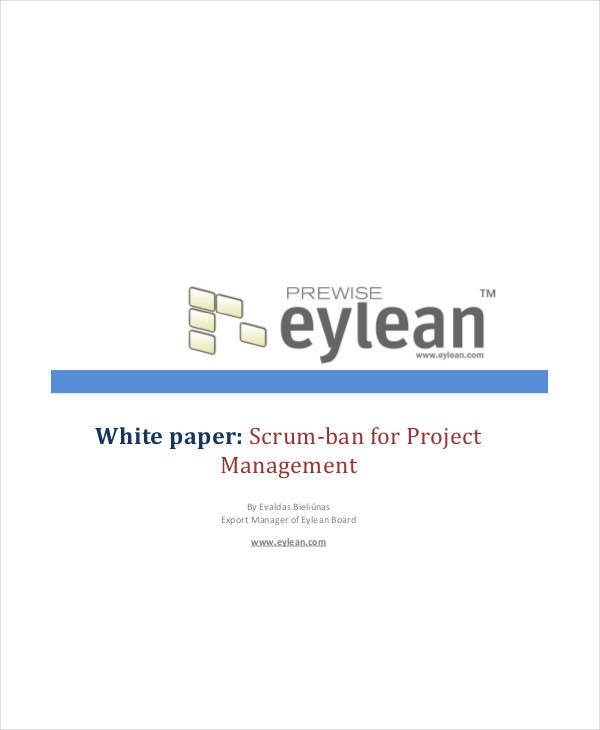 project management white paper