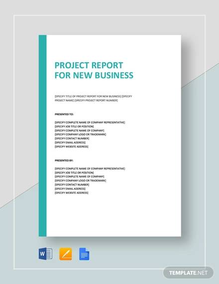 project report for new business