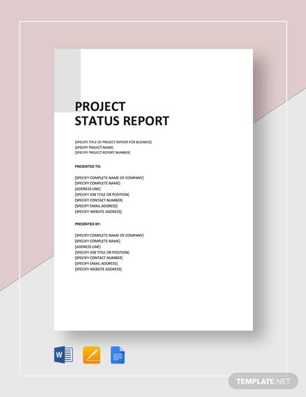 Business project Report Sample Pdf 