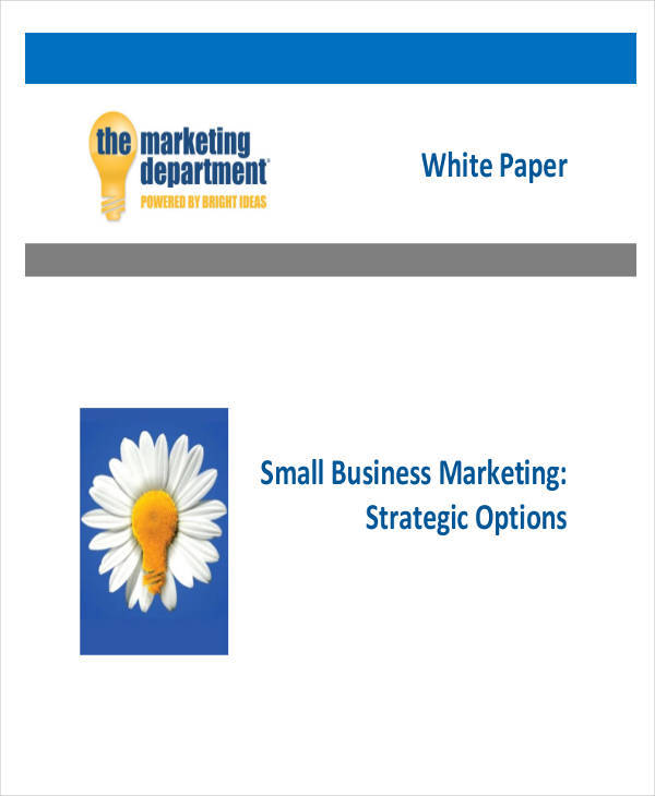 small business white paper3