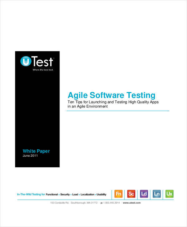 software testing white paper1