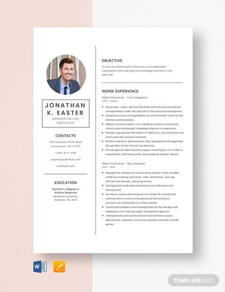 Free 37 Executive Resume Designs In Ms Word Pages