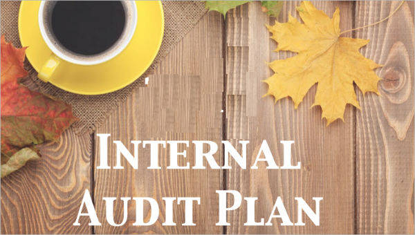  audit plan template