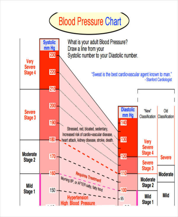 FREE 48 Printable Chart Templates In MS Word PDF Excel