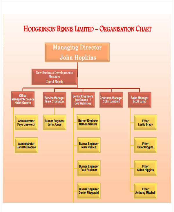 business organization chart