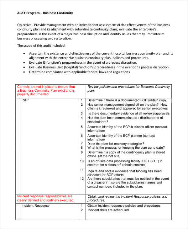 FREE 6 Audit Program Samples & Templates in PDF | MS Word