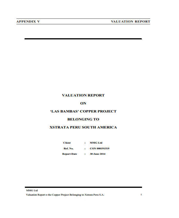 business valuation project report in pdf