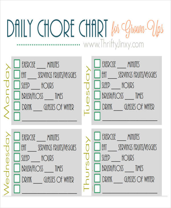 daily chore chart