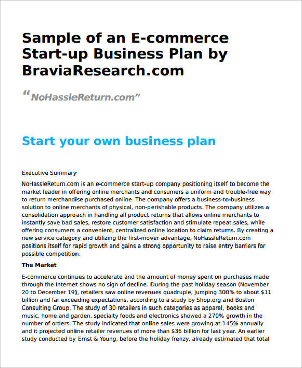  44 Ecommerce Business Plan Template Doc