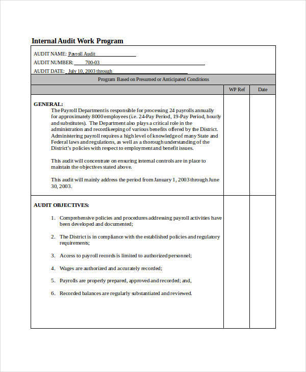 FREE 6 Audit Program Samples & Templates in PDF MS Word