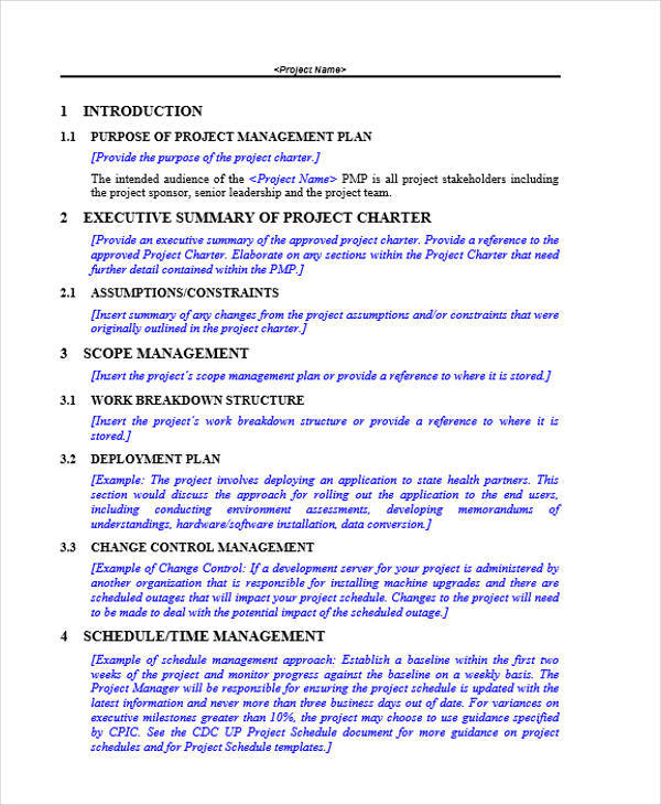 Sample project description for pmp application image