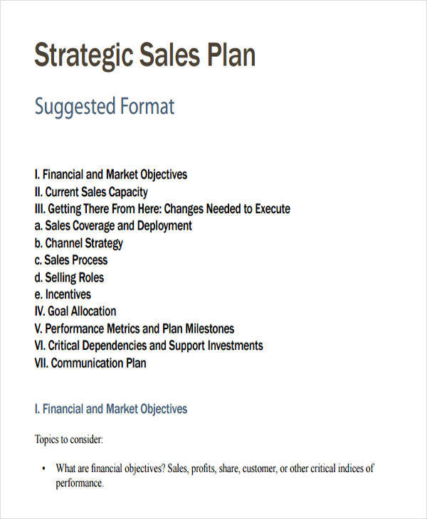 free-38-sales-plan-templates-in-pdf-ms-word-google-docs