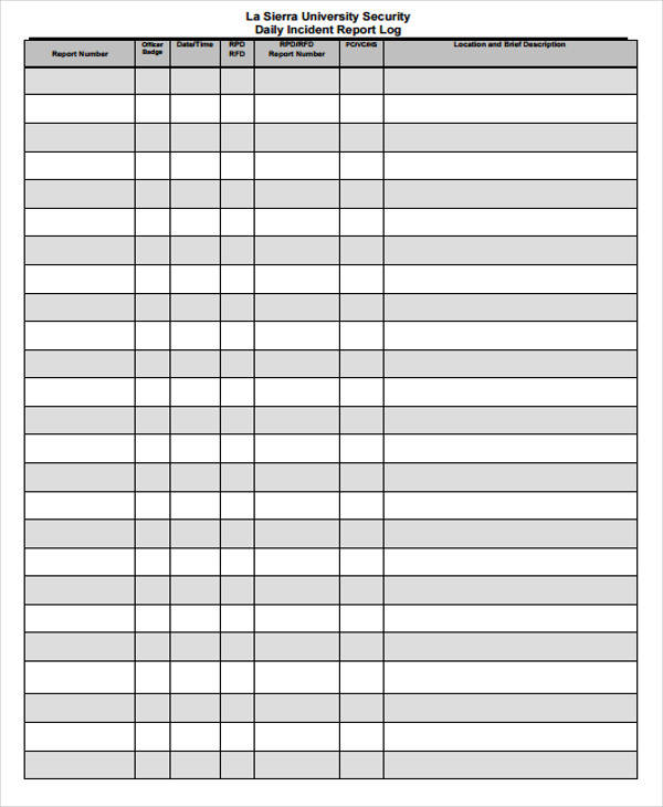 Daily Log Report Example