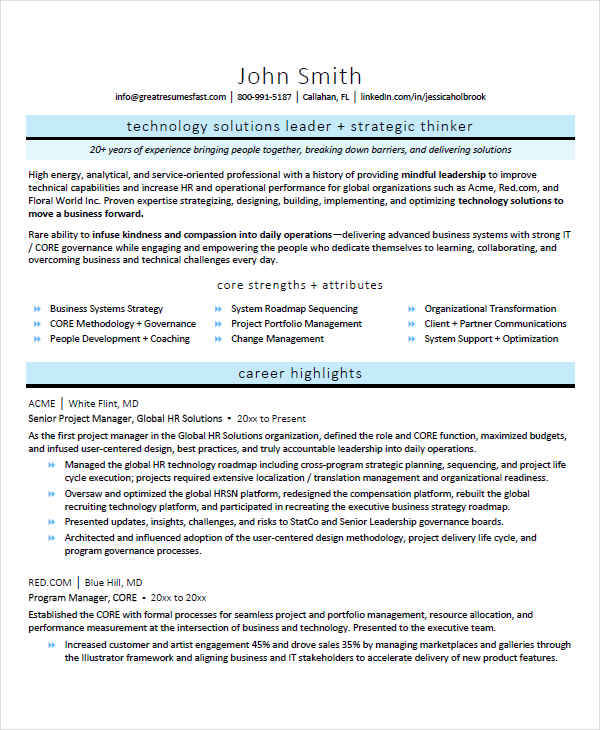 senior project manager