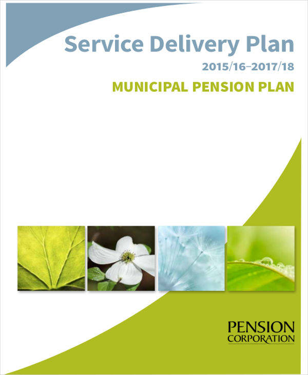 Service Delivery Plan Example