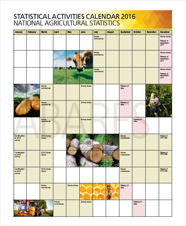 statistical activity calendar
