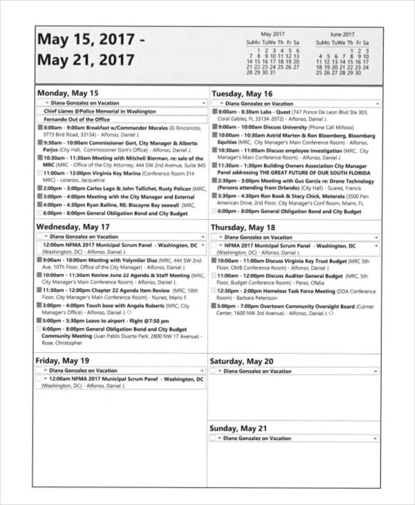 weekly budget calendar2
