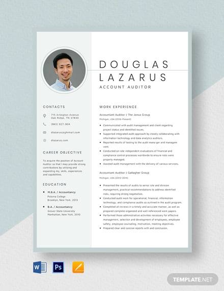 Free Cv Template For Accountant FREE PRINTABLE TEMPLATES