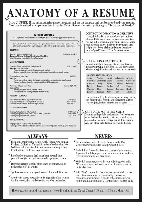 anatomy of a resume