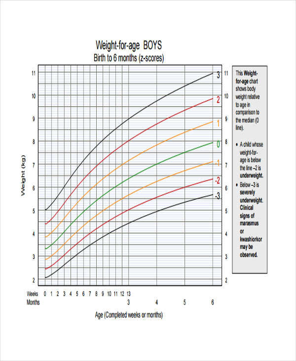 Baby Age And Weight Chart