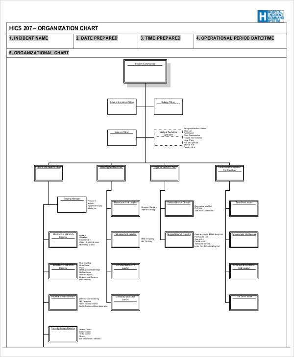 blank organizational chart sample