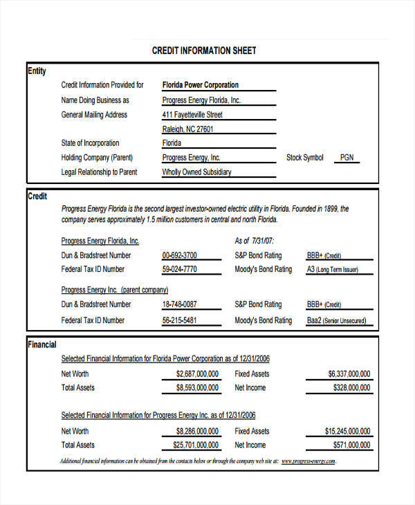 business credit information sample sheet