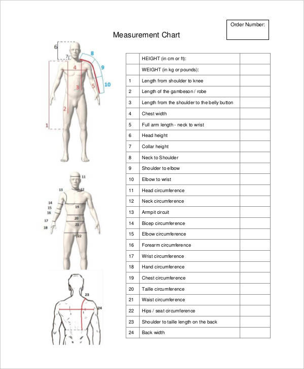 chart for height measurement