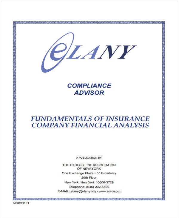 company financial analysis1