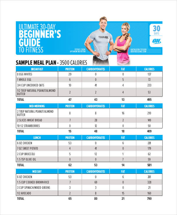 daily diet chart sample