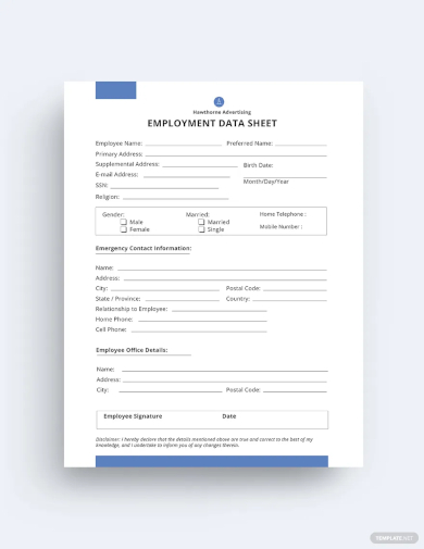 employment data sheet template