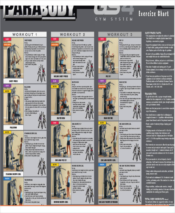 exercise workout chart