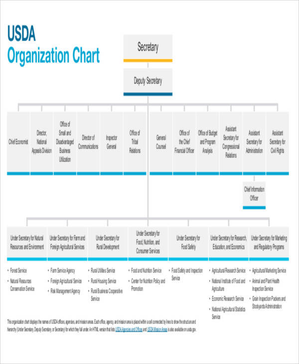 free organizational chart