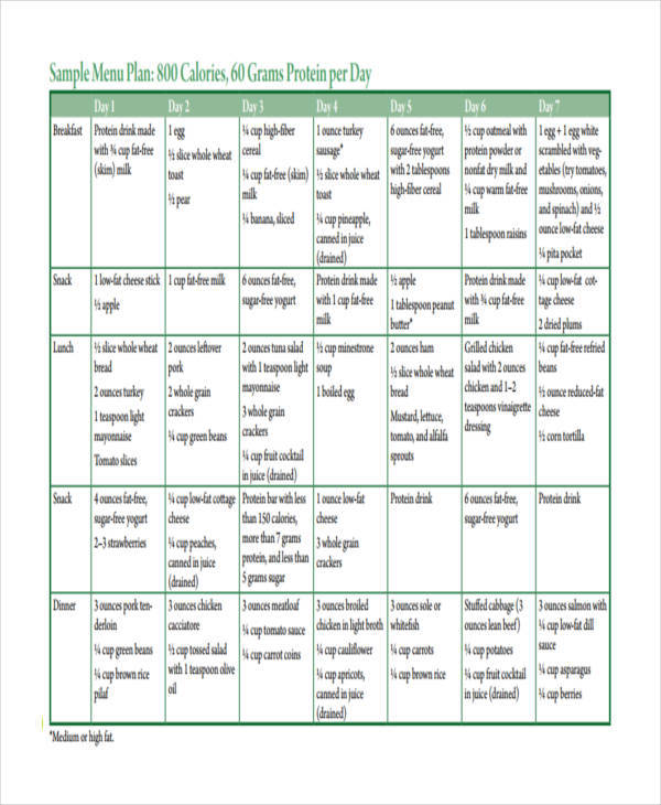 protein diet template