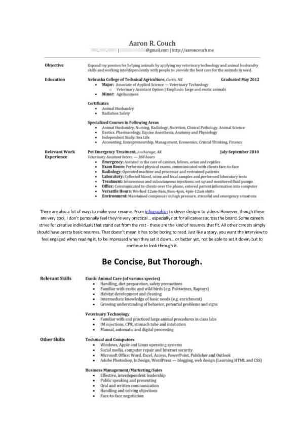 sample guide to resumes